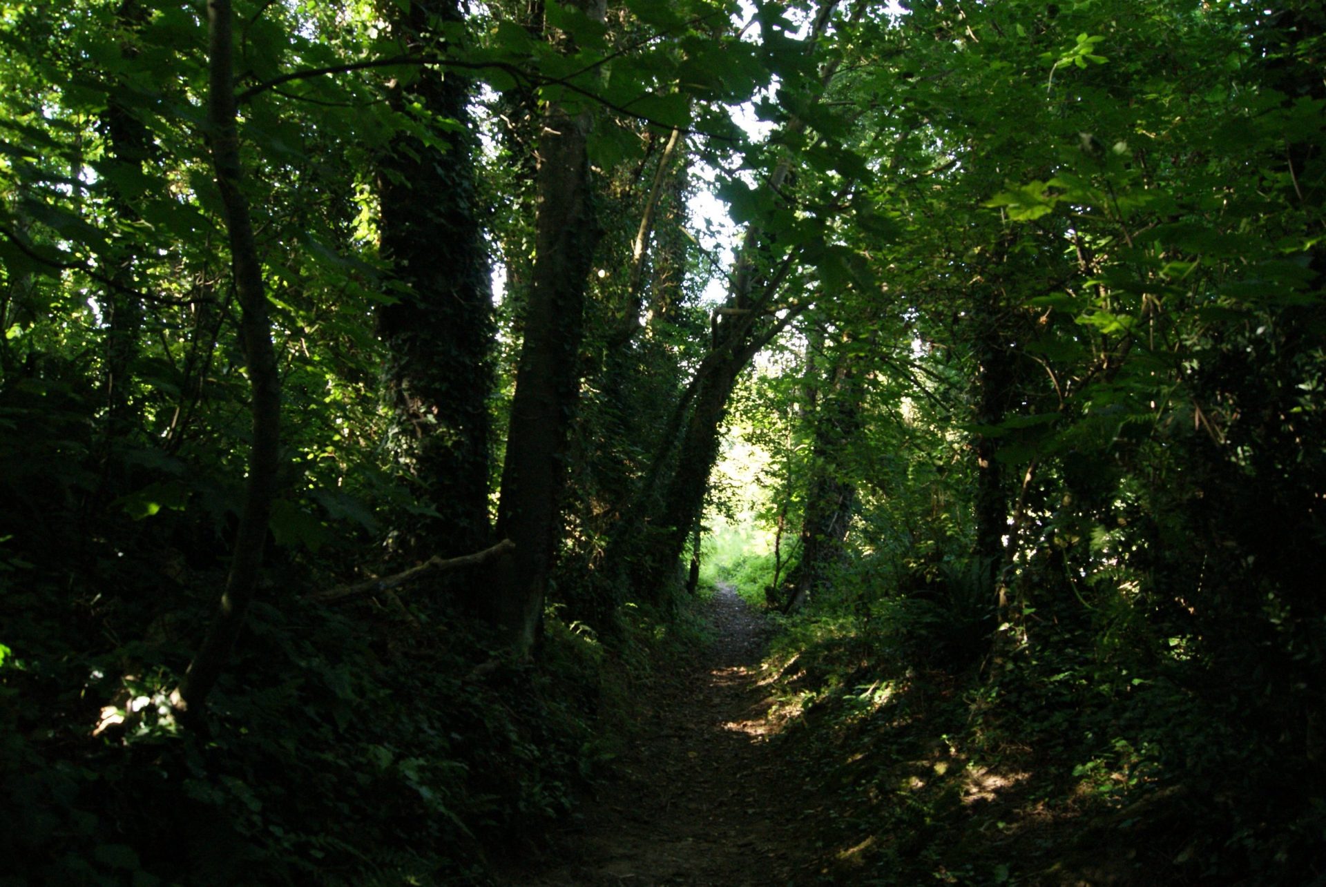 Circuit des lavoirs à Locquirec