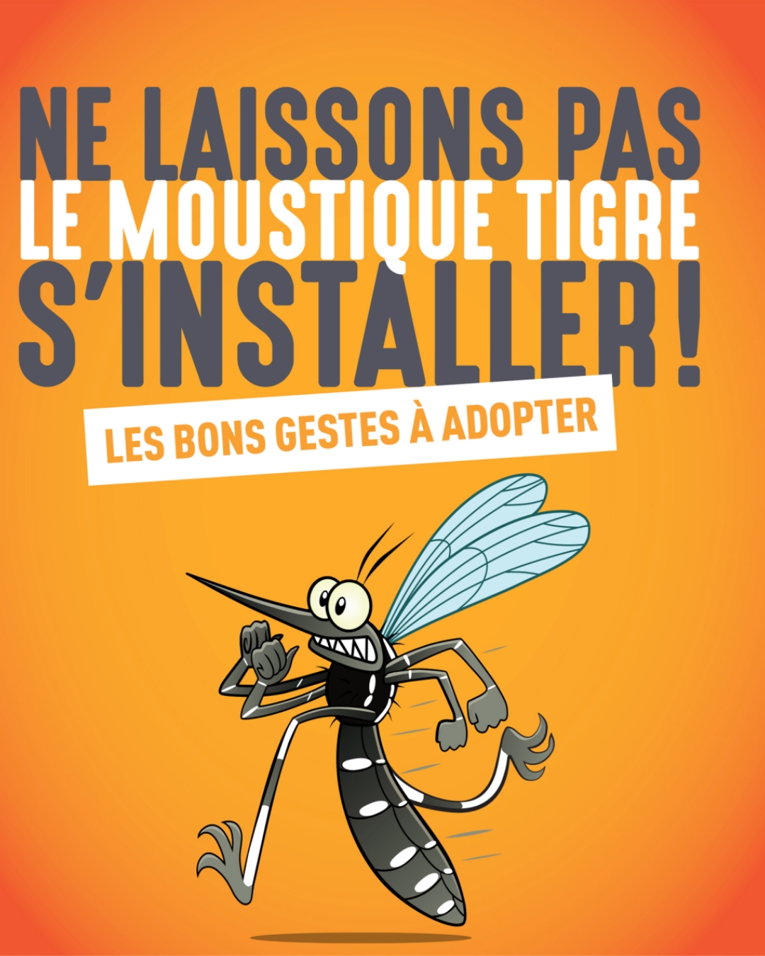 Vigilance Moustique Tigre